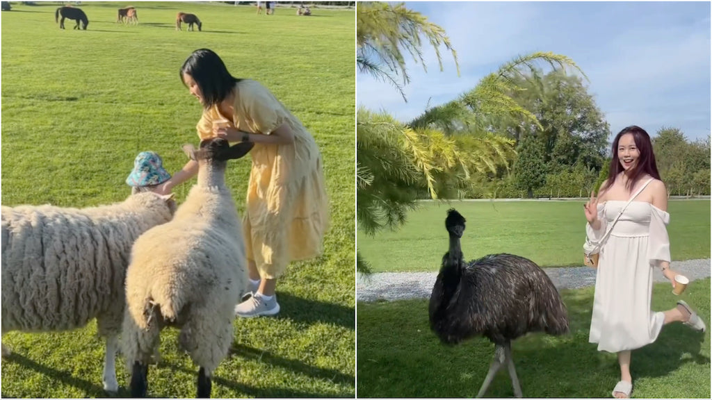 Pet & Feed Emus at This New Family Farm in Richmond STRUB Activewear
