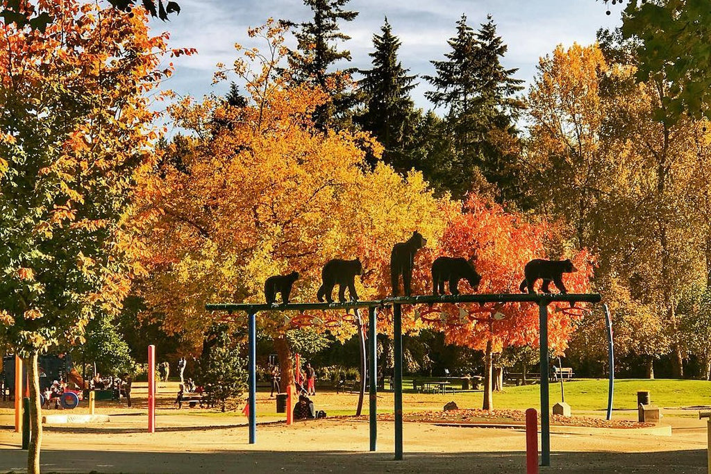 The 8 Most Beautiful Fall Destinations To Visit In Metro Vancouver ...