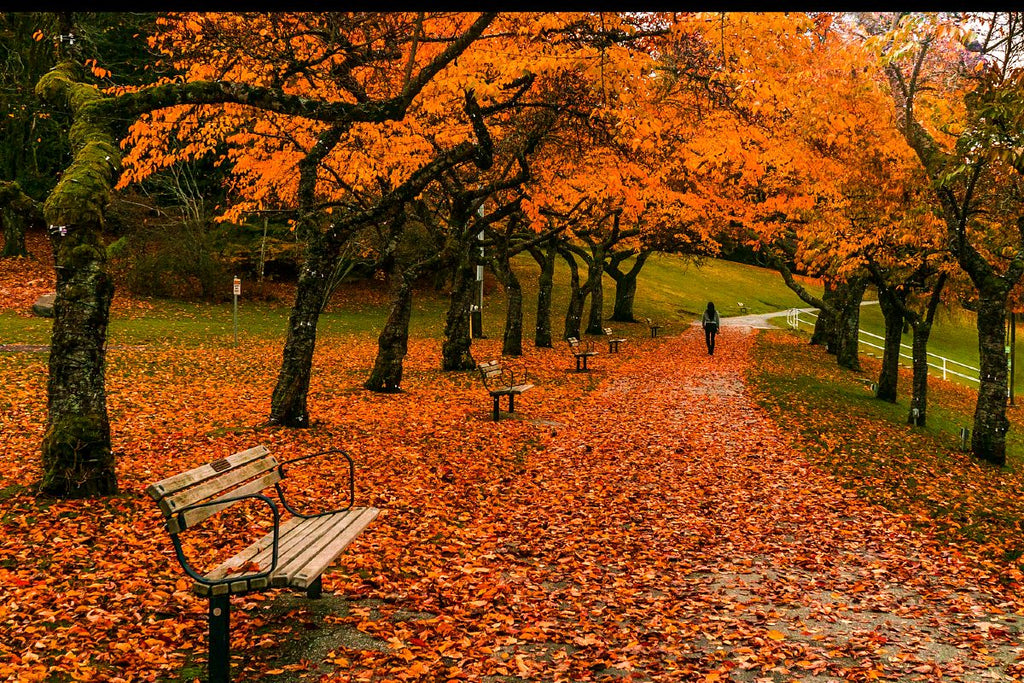 5 FALL HIKES NEAR VANCOUVER THAT WILL TAKE YOU THROUGH A COLOURFUL WON ...