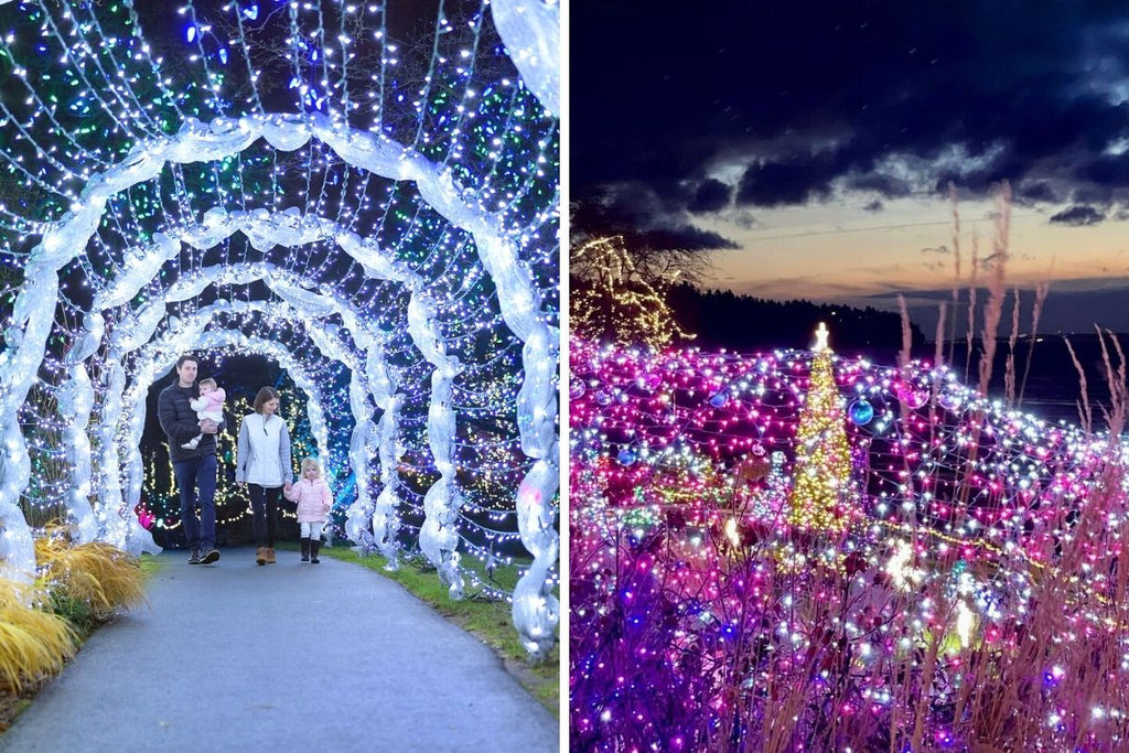 15 Places With Dazzling Christmas Light Displays In Metro Vancouver