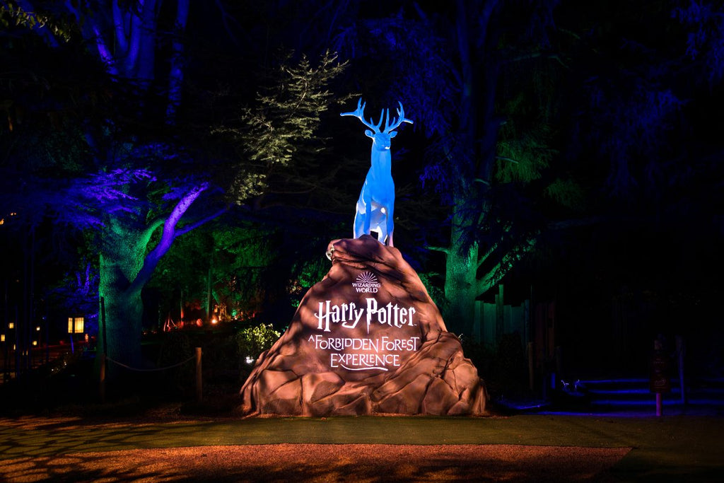 Here’s The First Look Inside Stanley Park’s Harry Potter Experience ...